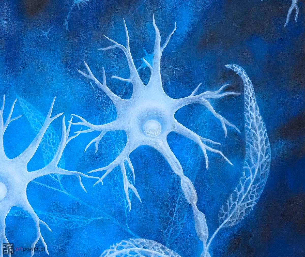 Planto-inteligencja - 2