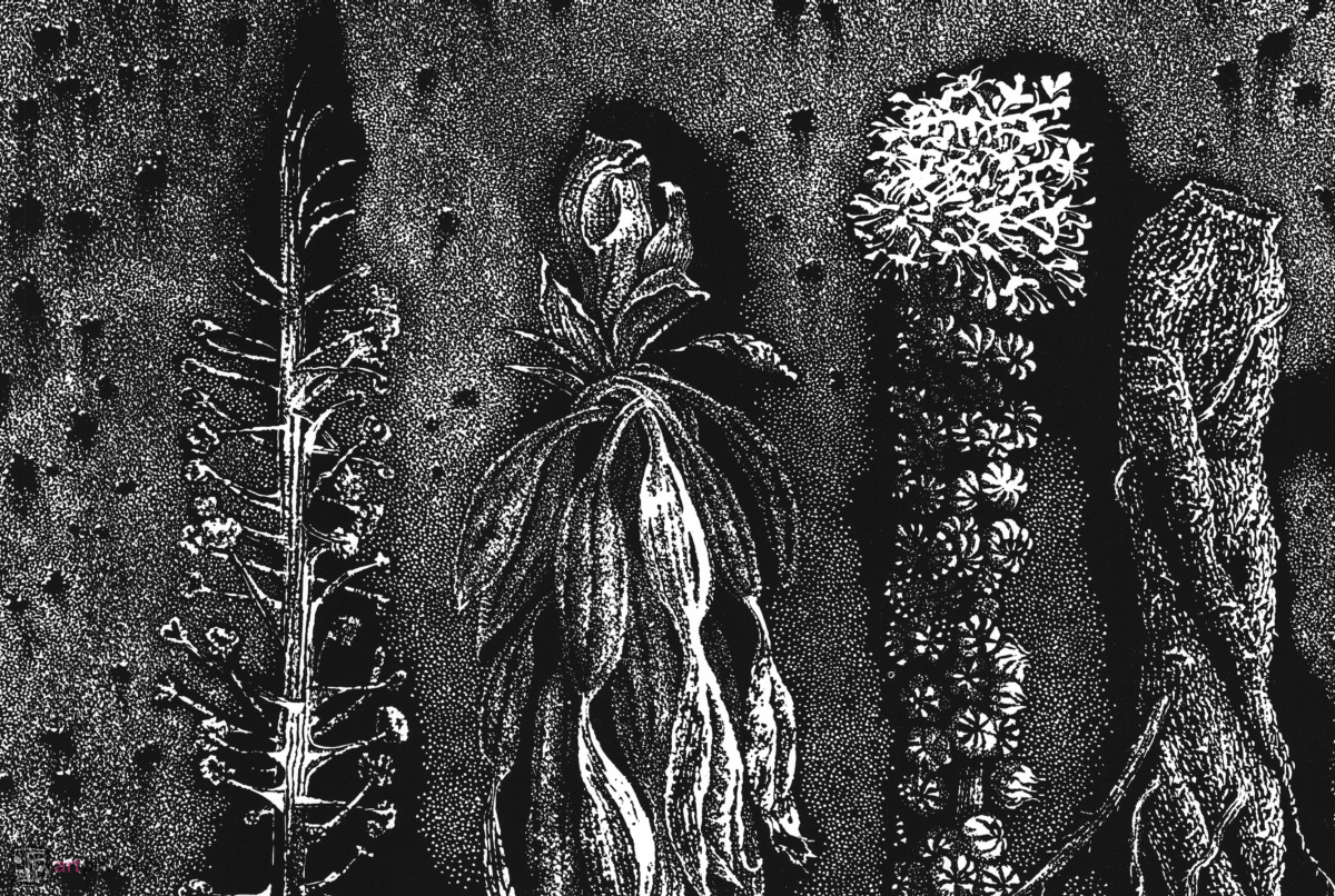 Hortus Conclusus VII - 2