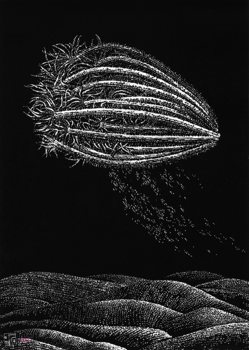 Hortus Conclusus XIV - 1