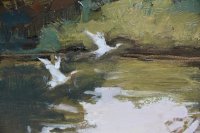 Lustro rzeki - 3