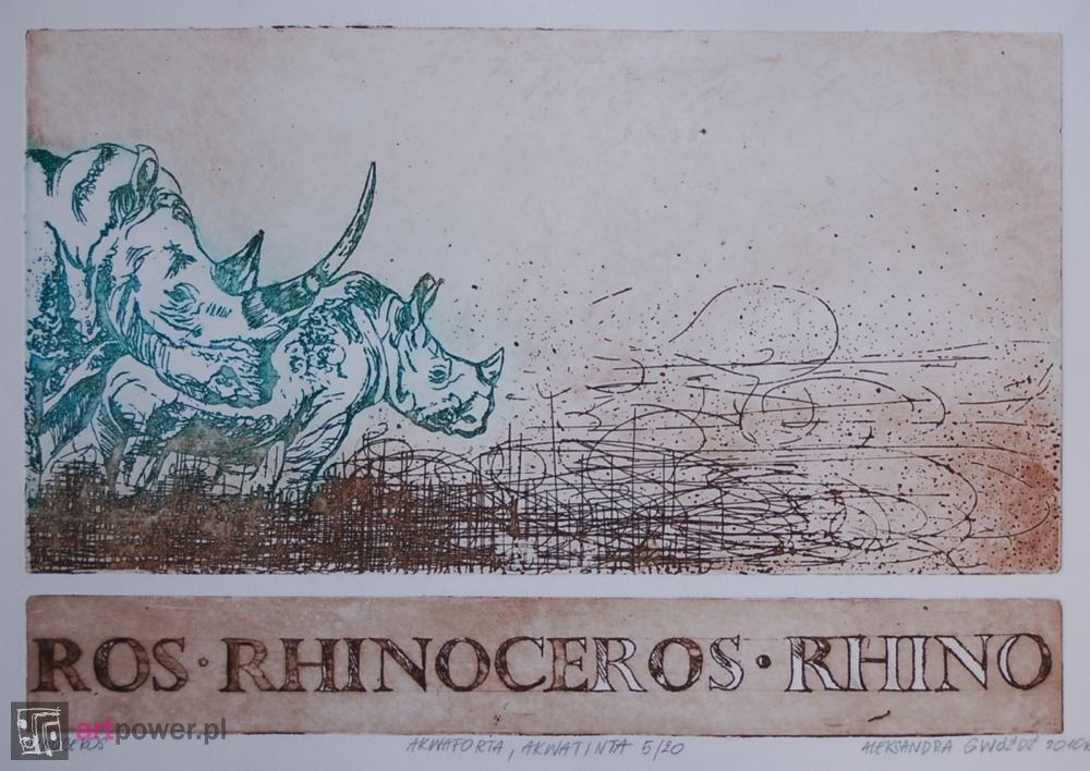 Rhinoceros - 1