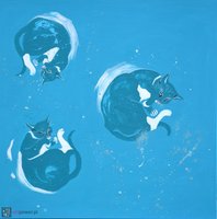 Koci kosmos II - 1