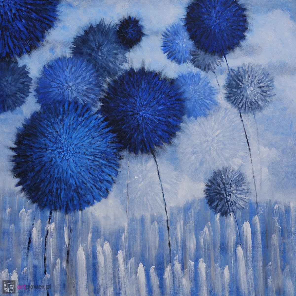 Pomponusy blue - 1