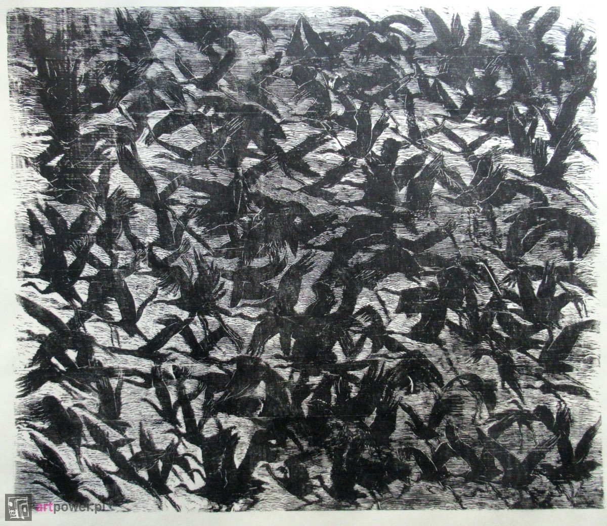 Wniebowstąpienienie - Żurawie - 1