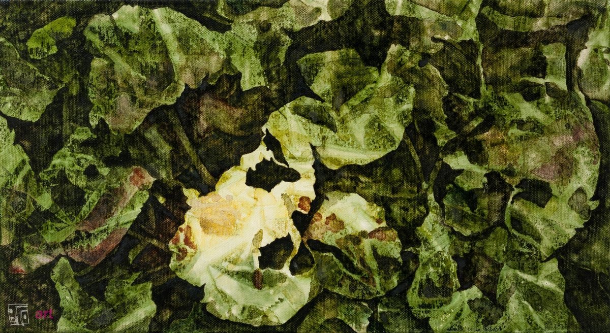 Pogniecione - 1