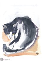 Kocur III - 1