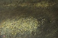 Robaczek Świętojański - 1