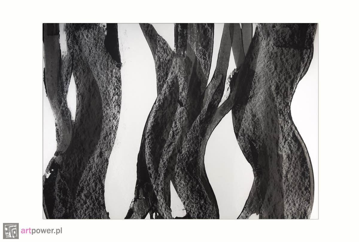 Dancing trees - 1