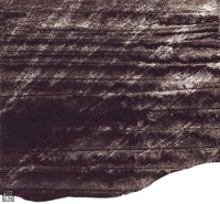 Poranek - 1